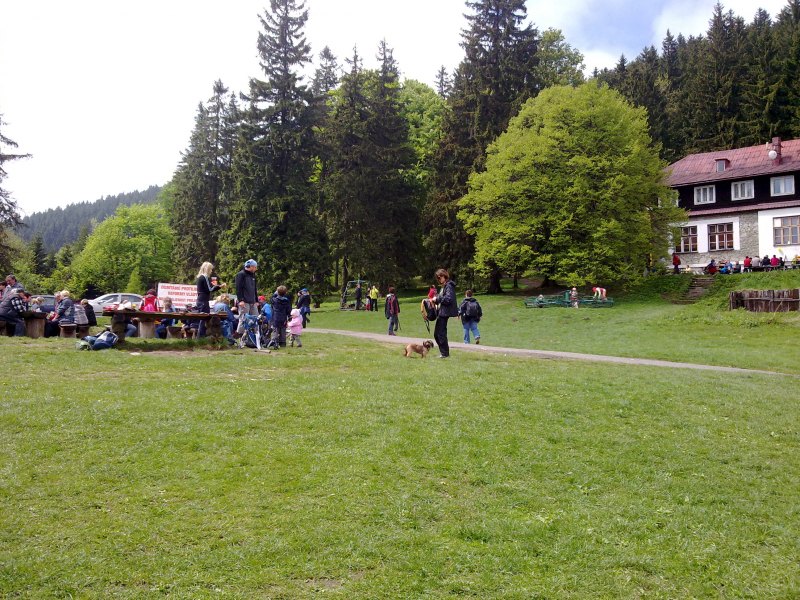 Obrázek