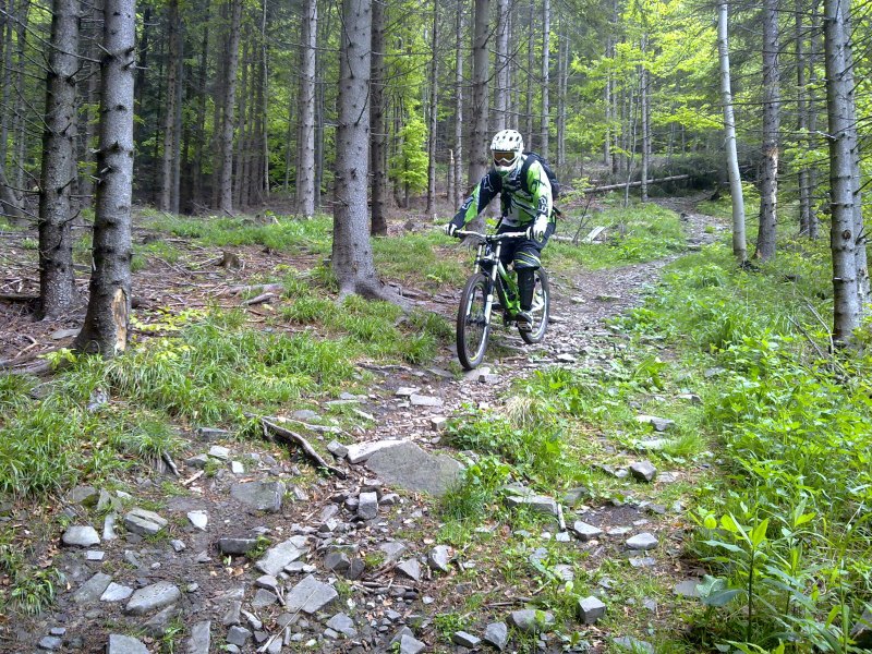 Obrázek