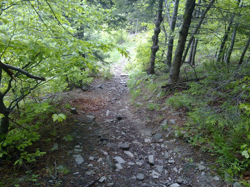 Obrázek