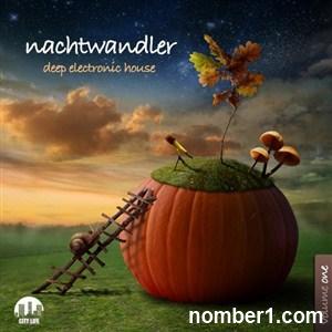 VA - Nachtwandler Vol.1 (Deep Electronic House) (2013) EXSite.pl VA - Nachtwandler Vol.1 (Deep Electronic House) (2013) EXSite.pl