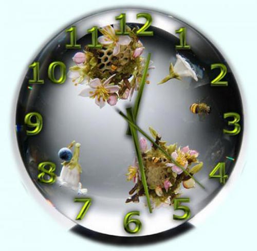 Скачать TheAeroClock 3.21 (2012) Multi бесплатно.