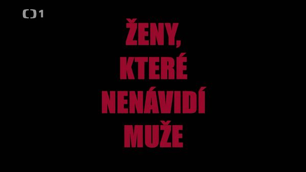 Ženy, které nenávidí muže (2012)