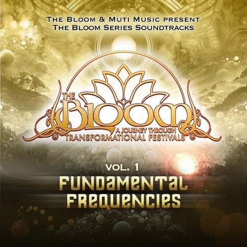 THE BLOOM SERIES VOL 1: FUNDAMENTAL FREQUENCIES (2013) THE BLOOM SERIES VOL 1: FUNDAMENTAL FREQUENCIES (2013)