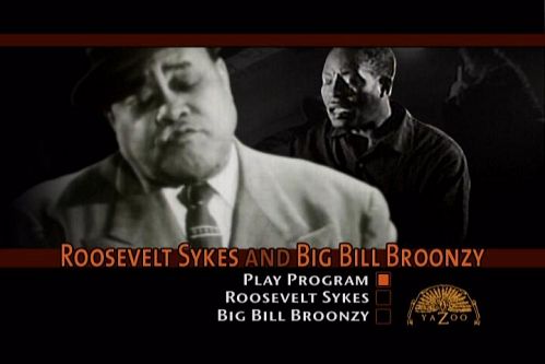 Masters Of The Country Blues - Big Bill Broonzy & Roosevelt