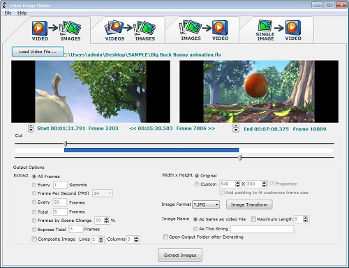 Video Image Master 7.8 Video Image Master 7.8