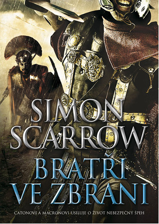 Obrázek