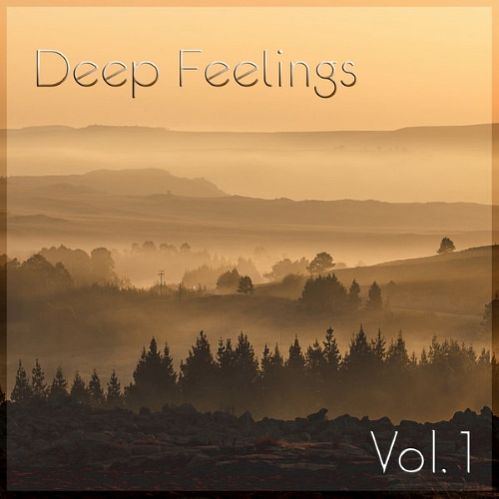 VA - Deep Feelings, Vol. 1 (2015)