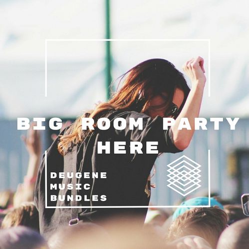 VA - Big Room Party Here (2017)
