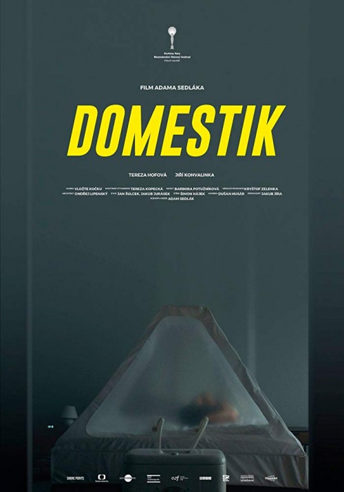 Domestik (2018)