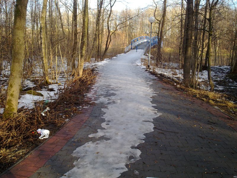 Obrázek