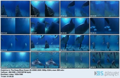 Dolphins In The Deep Blue Ocean (2009) 3D