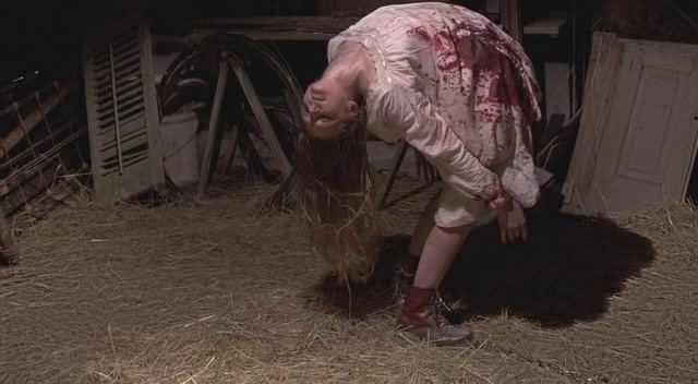 Re: Poslední vymítání ďábla / Last Exorcism, The (2010)