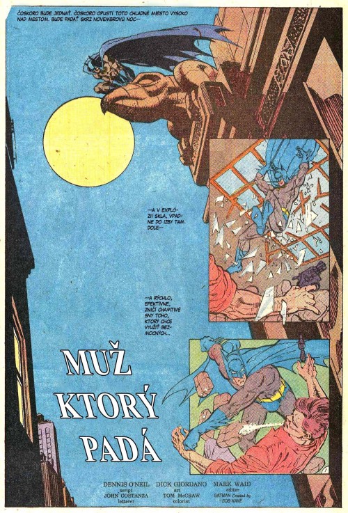 Batman---Muz-ktory-pada.jpg