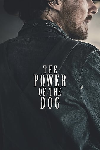 Síla psa / The Power of the Dog (2021)