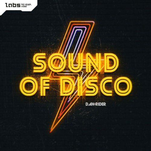 Dan-Rider - Sound Of Disco (Pro Mix) (2022)