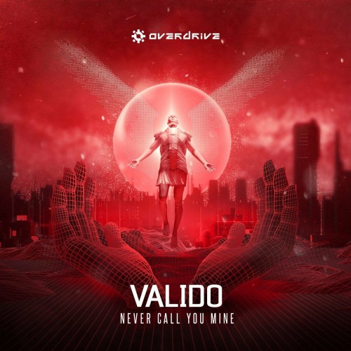 Valido - Never Call You Mine (Edit)-(2022)