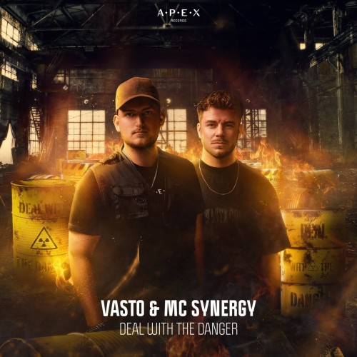 Vasto & MC Synergy - Deal With The Danger (Extended Mix)
