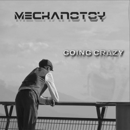 Meckanotoy - Going Crazy (2022)