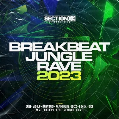 VA - Breakbeat Jungle Rave 2023 (2022)