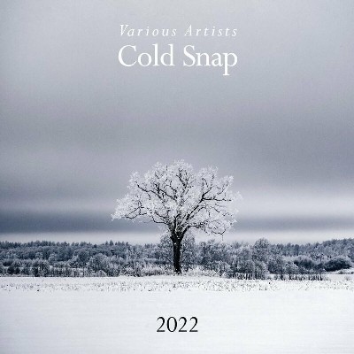 VA - Cold Snap 2022 (2022)