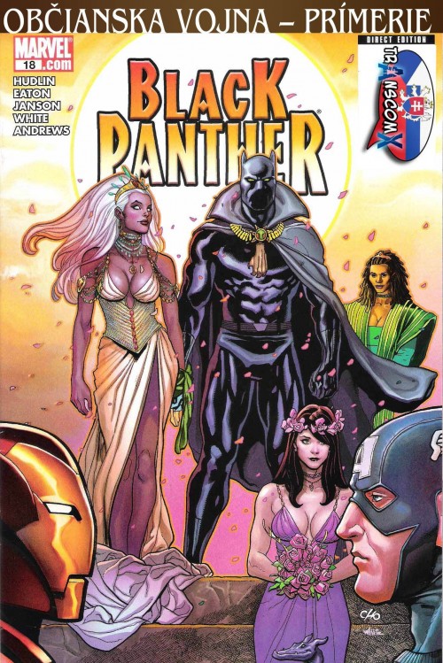 032---Black-Panther-v4-18.jpg