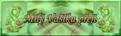 Vasik-3.gif