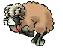 beran.gif
