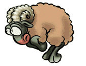 beran2.gif