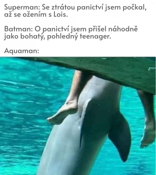 1000054460.jpg