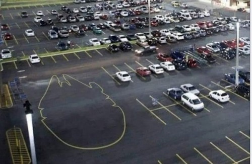 1000055716.jpg