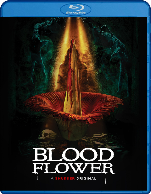 bluray.jpg-overlay8.png