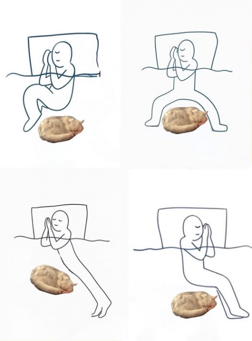 1000056172.png