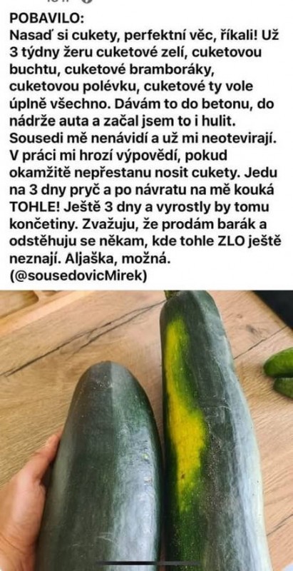 1000056182.jpg
