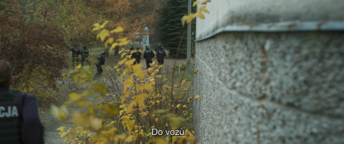 02e5cf526ef36b89c5.png