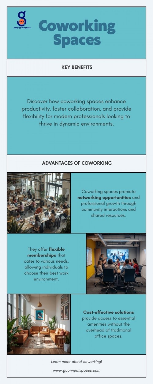 Infographic---Coworking-Spaces-3.jpg